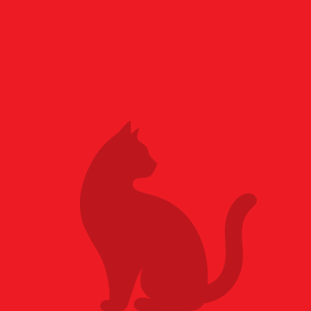 5 reasons to choose terracotta tiles